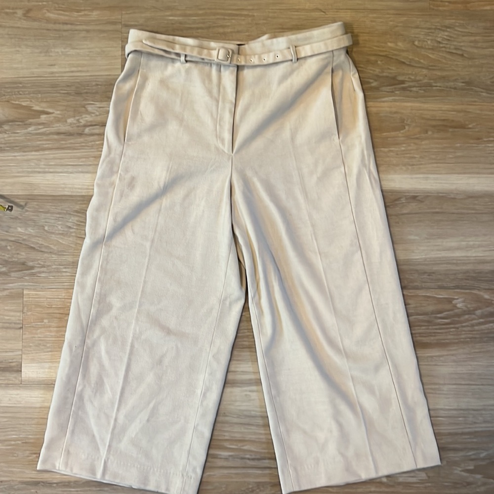 Ann Taylor Cropped Pants Womens Petite Size 12P Beige High Rise